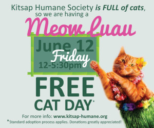 Meow-Luau-Free-Cat-Day-FB-Promotional-Photo-v3