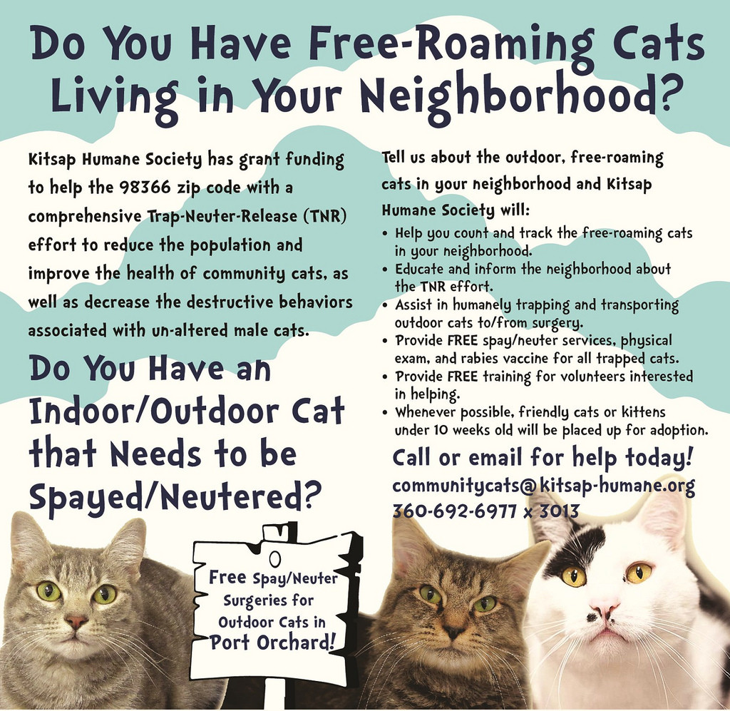 free spay neuter for feral cats