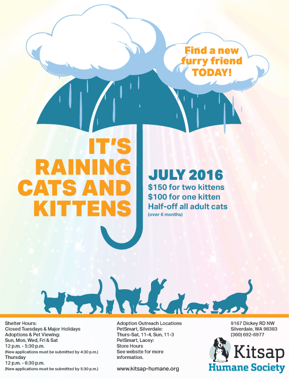 Raining-Cats-and-Kittens-Flyer
