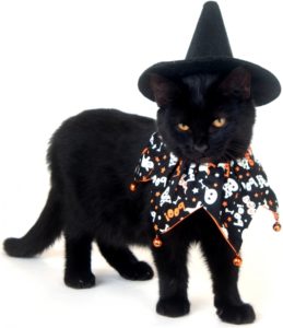 cats-dressed-up-in-costumes-for-halloween-1