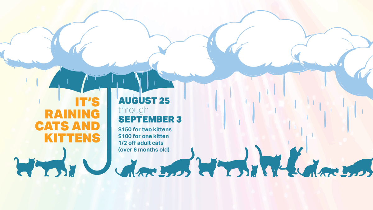 Kitsap Humane Society It’s Raining Cats and Kittens!