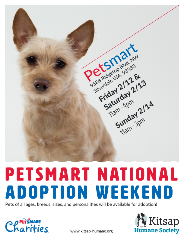 national pet adoption week 2019