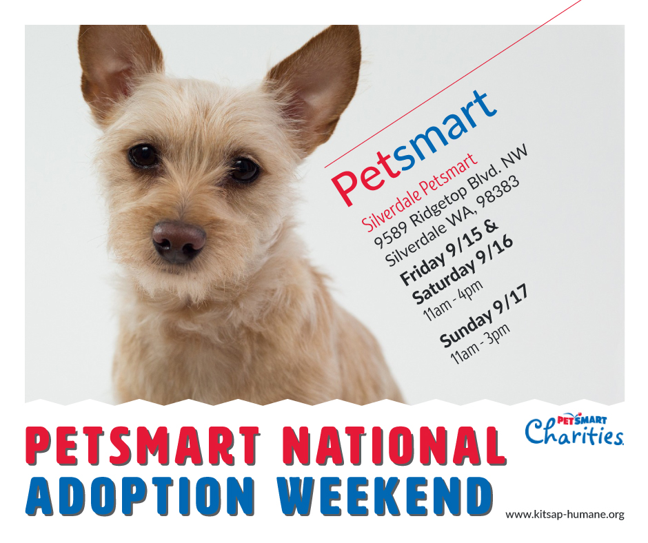 Kitsap Humane Society Petsmart National Adoption Weekend!