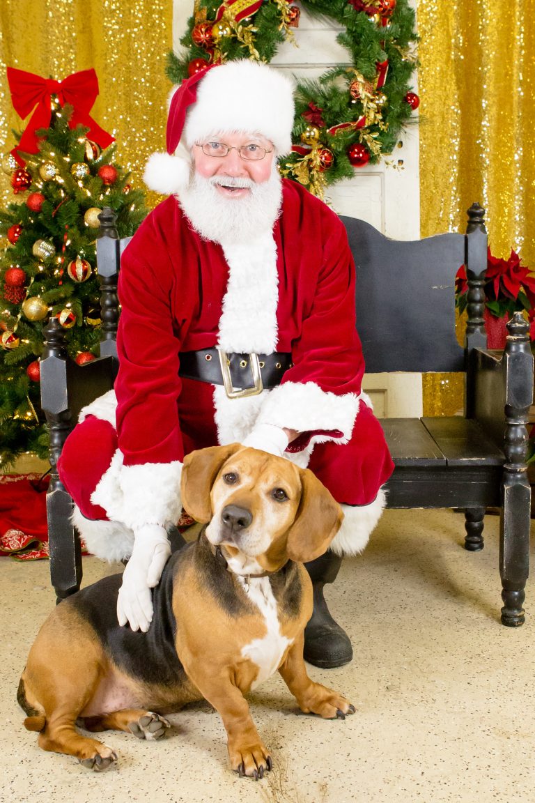 Kitsap Humane Society Join us for Santa Paws and more this Holiday
