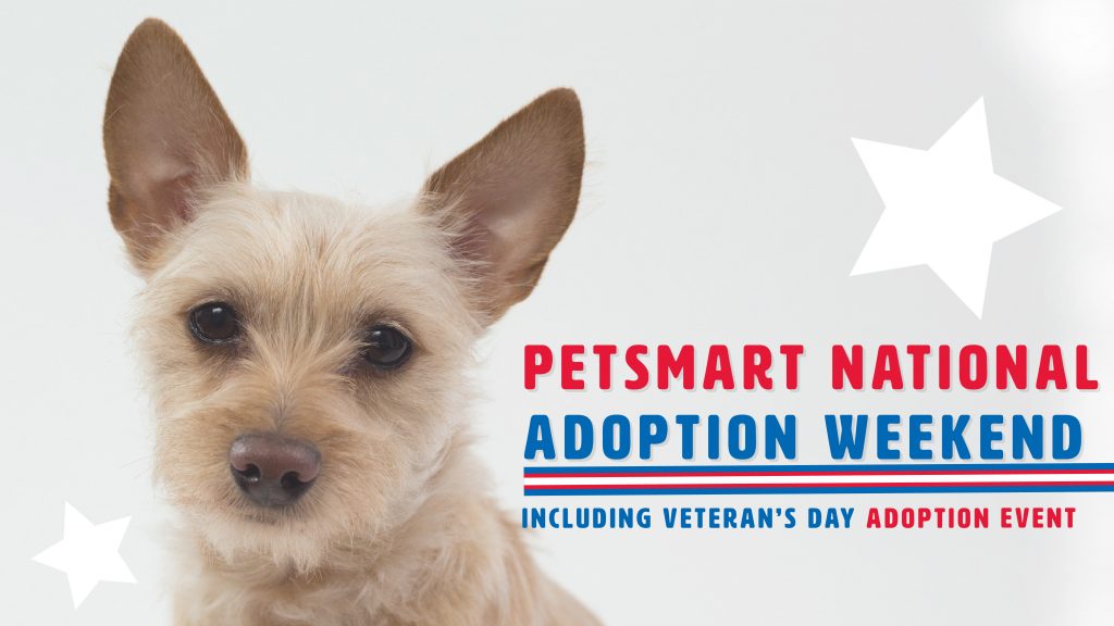 petsmart adoption weekend 2018
