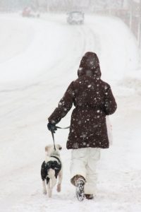 can dogs walk in cold weather