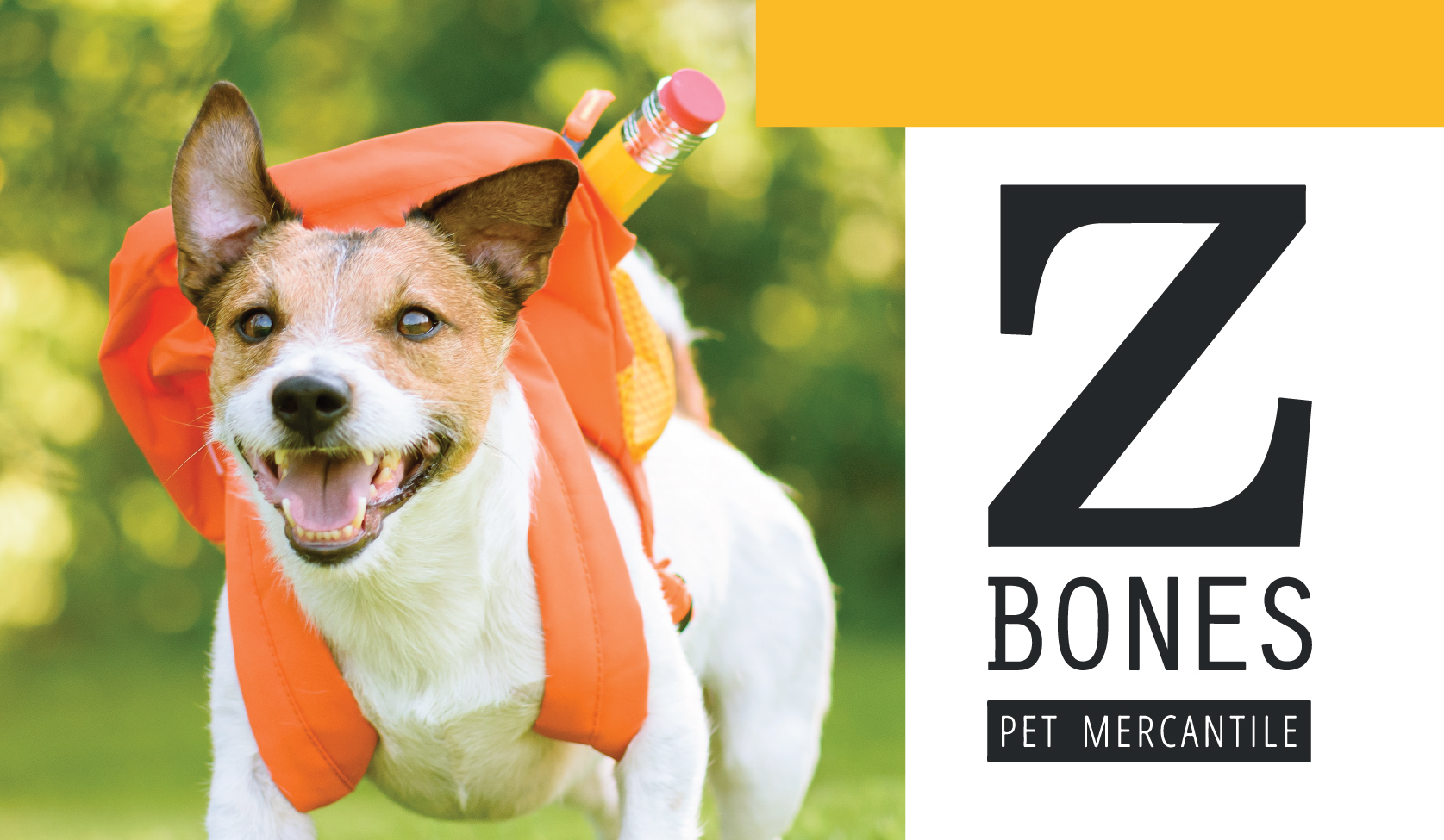 Kitsap Humane Society Z Bones Back to School Pet Adoption Event