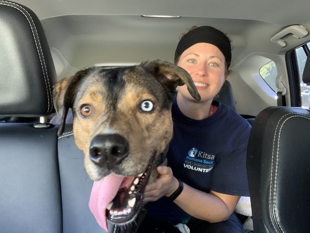 Kitsap Humane Society Longtimer Louie is Adopted!