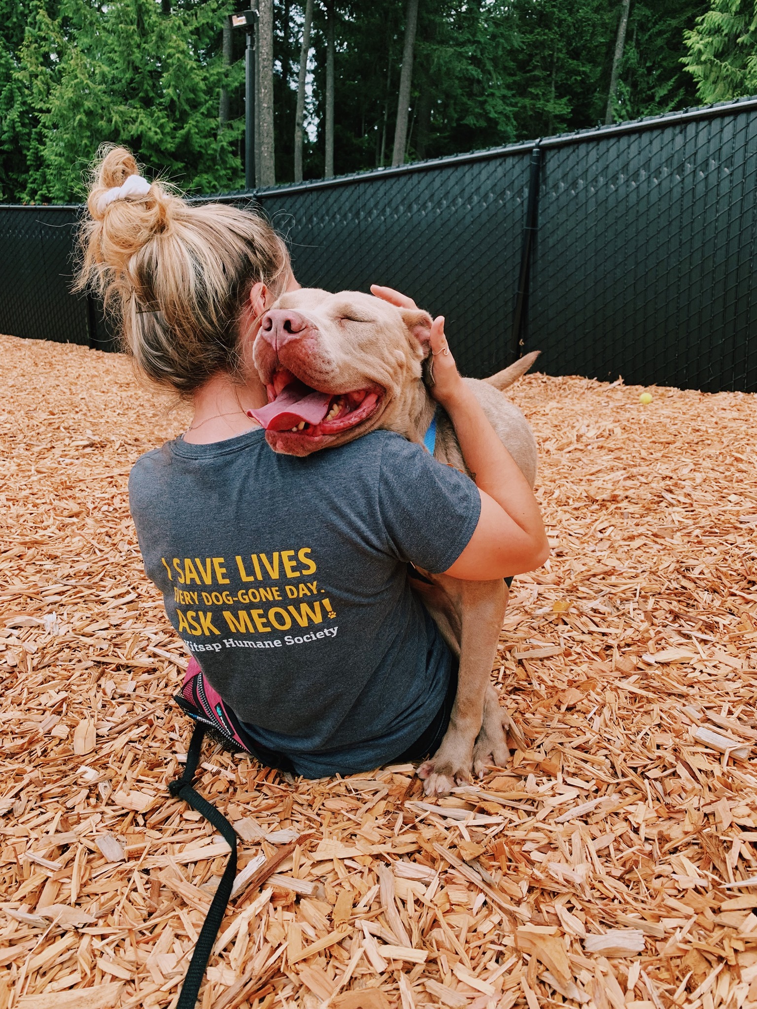 Kitsap Humane Society Careers