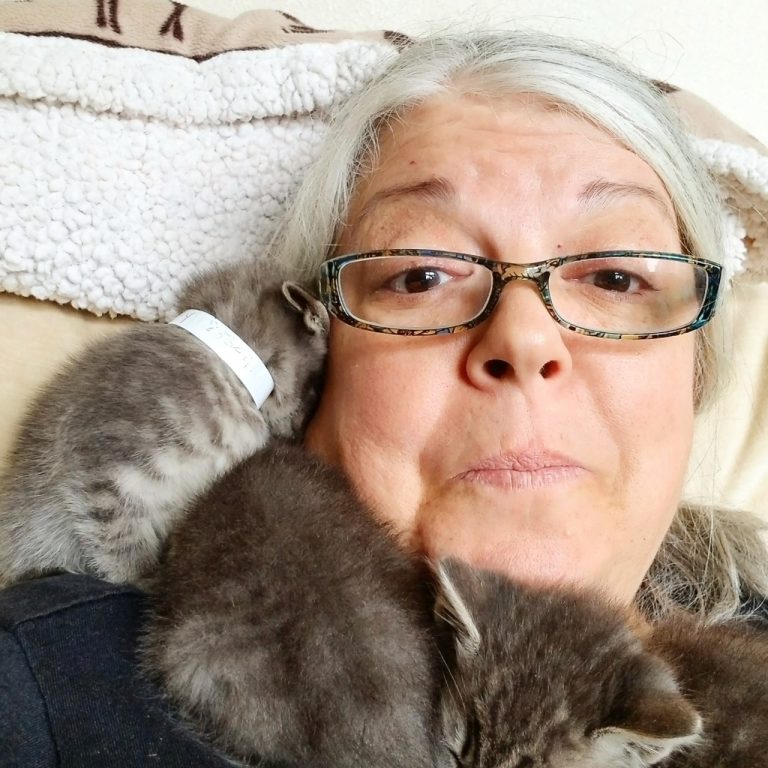 Kitsap Humane Society From Neonatal to Feline Panleukopenia Meet the