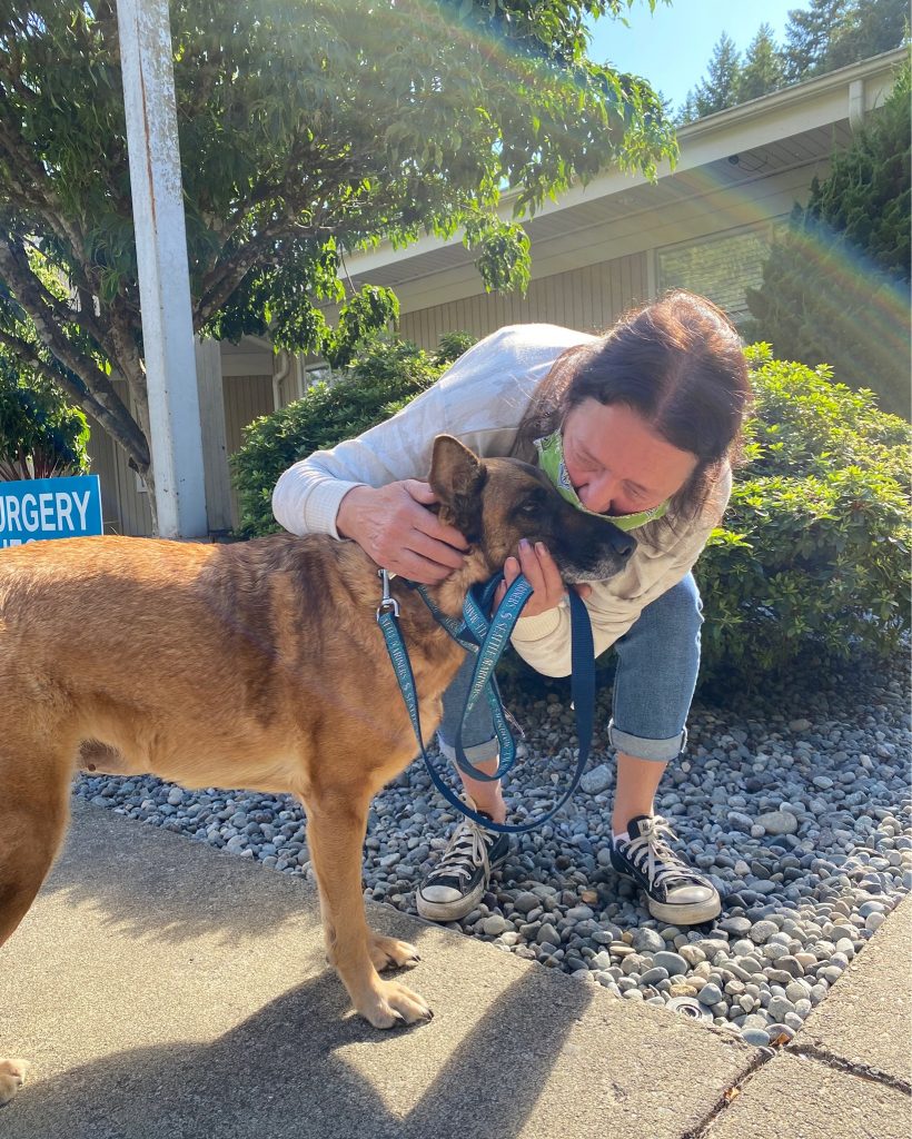 Kitsap Humane Society KHS Receives MillionDollar Gift for New Vet Center