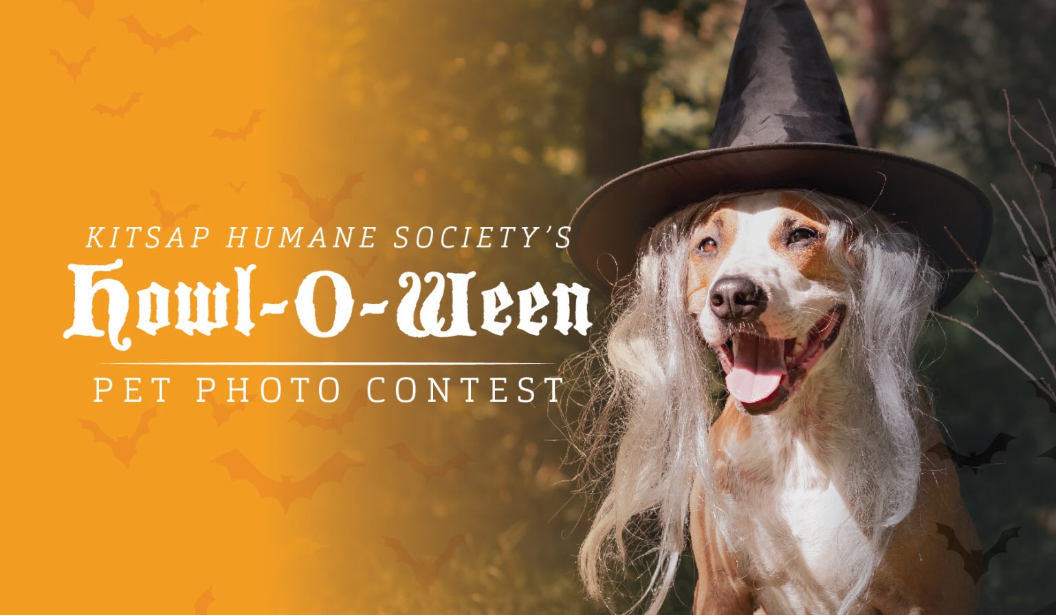 Kitsap Humane Society