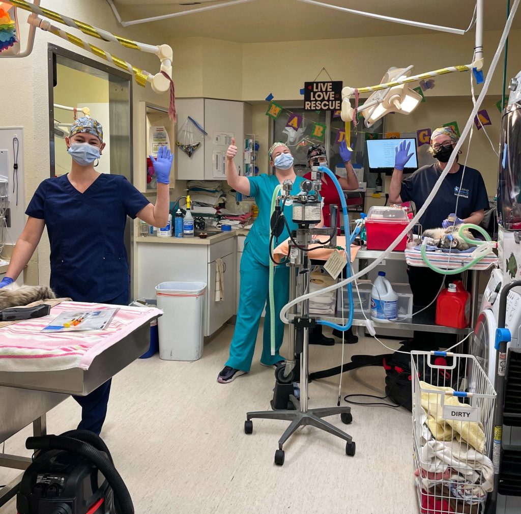 Kitsap Humane Society Spay & Neuter Awareness Month Success