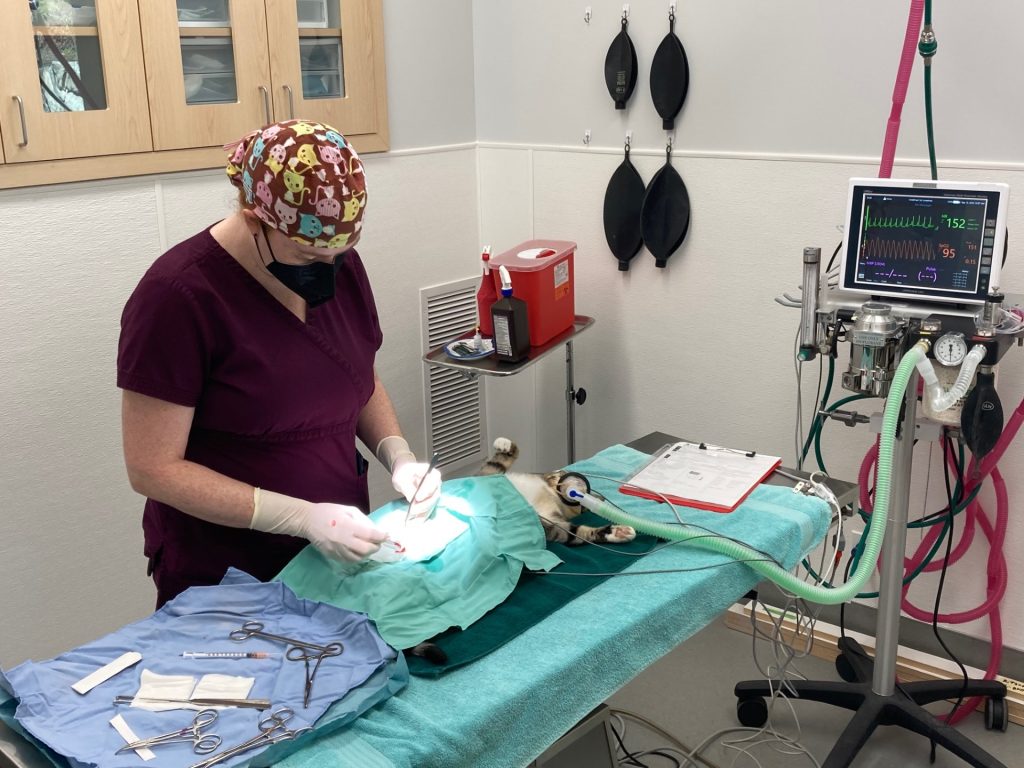 Kitsap Humane Society Veterinary Lifesaving Center