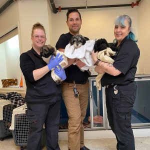 Kitsap Humane Society Animal Control